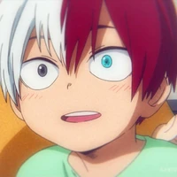 Todoroki Shouto (lúc nhỏ)