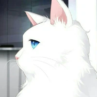 Tiểu Khôi (Giang Cảnh Thước)