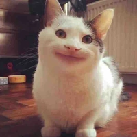 Các thể loại nv