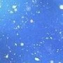 Học viên câu lạc bộ trượt băng
