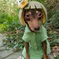 Cô géi wuyến rủ