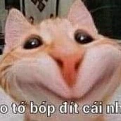 Tác giả kem nhà dịch kèm tất cả các nghề