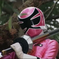 Shinken Pink