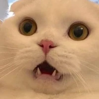 Bii