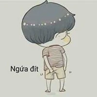 các cậu