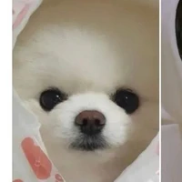 người hầu thân cận của cậu(Na Na)