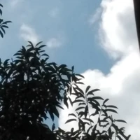 cả đám