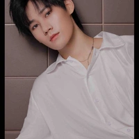 Trương Chân Nguyên 