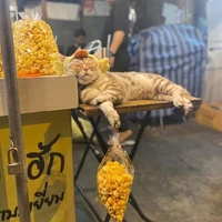 Quà tân thủ