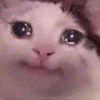 fan hâm mộ êu quý của iruka