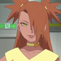 Akimichi Chouchou