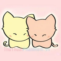 Nhân viên tổ chức