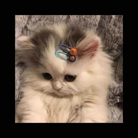 Má thiên hạ (tác giả)