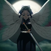 KOCHOU / MONKEY.D Shinobu