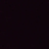 Người hầu trong cung