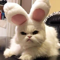 tg ngu vì đam mê🤞🐰💅