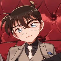 edogawa conan /kudo shinichi/