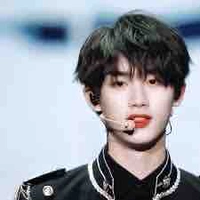 Đinh Trình Hâm (anh)