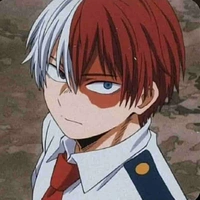 Todoroki Shoto
