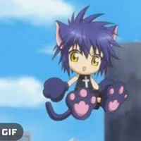 yoru