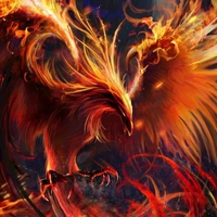 Phượng hoàng lửa- tiểu hoả