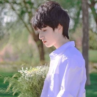 Nghiêm Hạo Tường