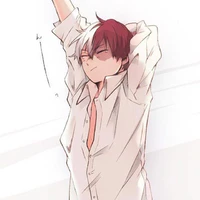 shoto todoroki
