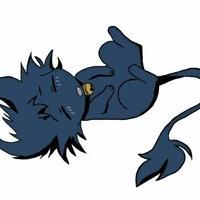 Kuro - Sleepy Ash ( Dạng Mèo )