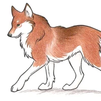 Inu