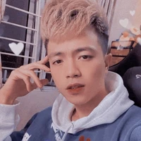 (Việt) mr.vịt