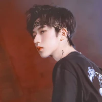 Hạ Tuấn Lâm