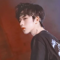 Hạ Tuấn Lâm