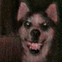 Smile Dog