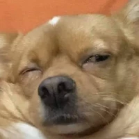 quần chúng nhân dân