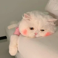 Rin nek(◍•ᴗ•◍)❤