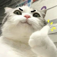 Tác giả thiểu năng ☺️