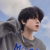 Tô Song Tử - Gemini_Tô