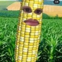 quĩnn