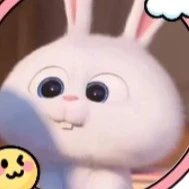 ma giấy