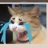 Con tg lười biếng