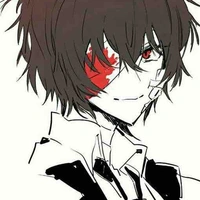 Y/N