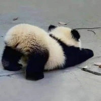 Mọi người