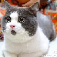 all