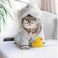 Tác giả 