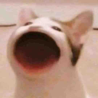Min đâyy