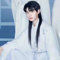 Đinh Trình Hâm (Thái Tử Phi)