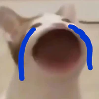 Tác giả đóng mọi vai:Đ
