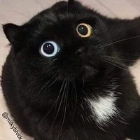 mồm lèo=))