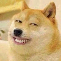 chó:)