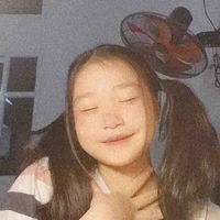 Y/n